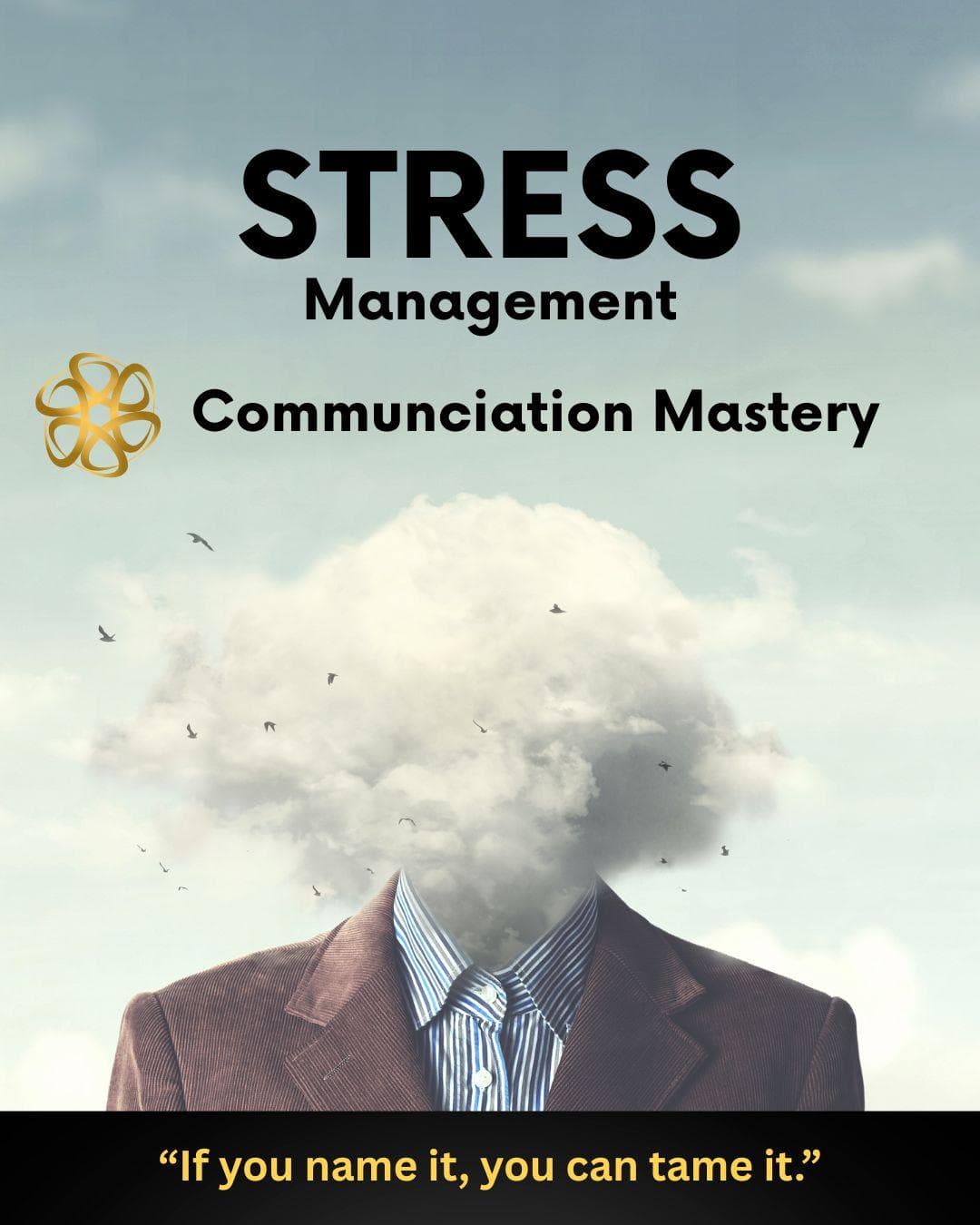 Stress Management Mastery